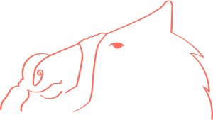 Logo salmon