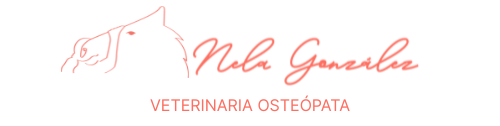 Veterinaria Osteópata